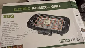 Electric BBQ Grill