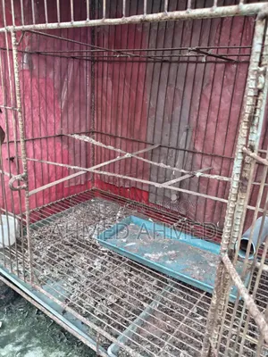 কবুতরের খাচা