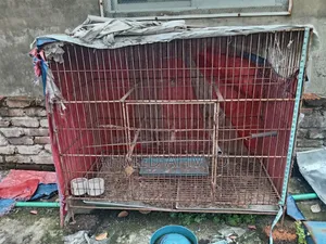 কবুতরের খাচা