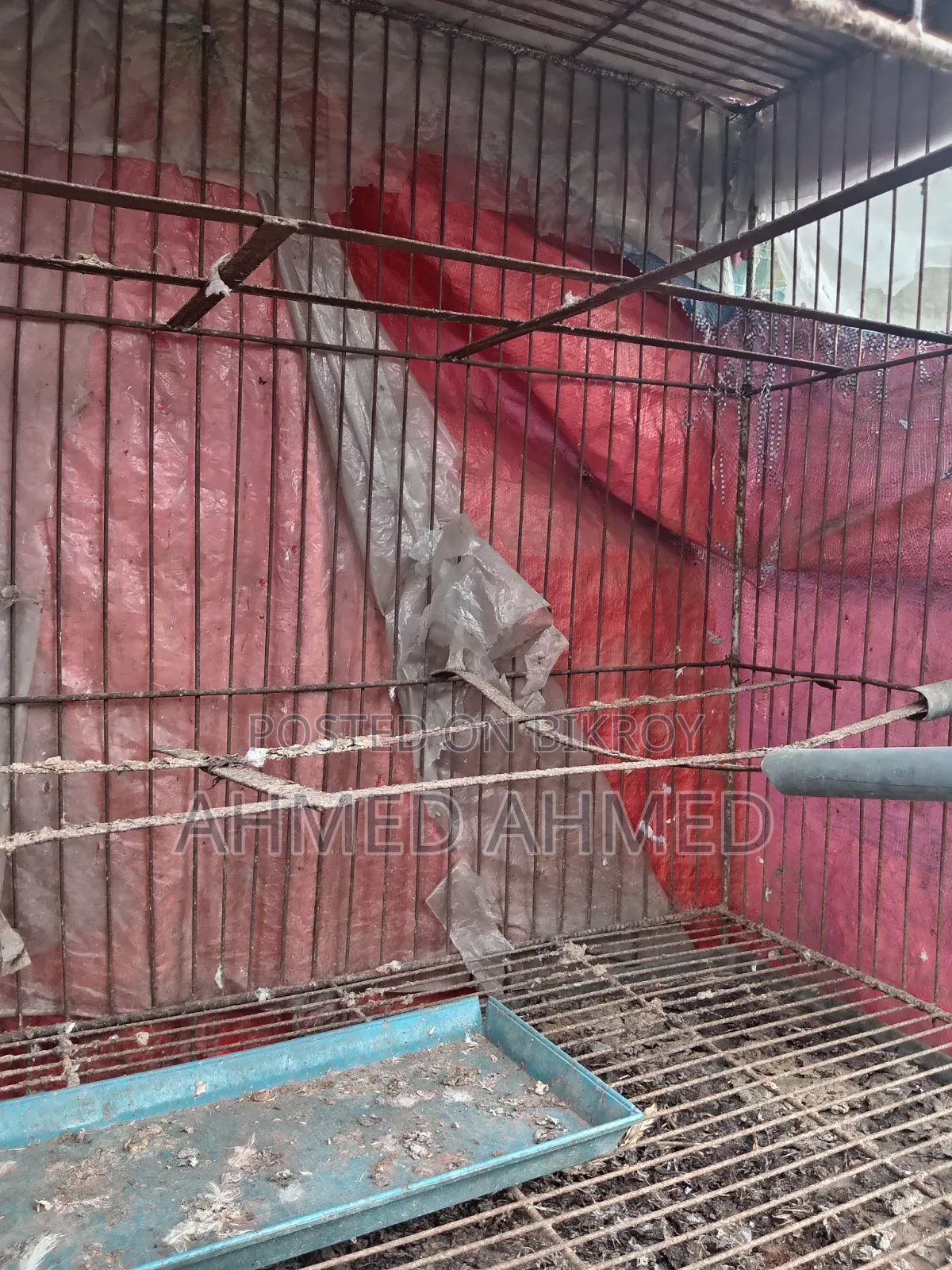 কবুতরের খাচা