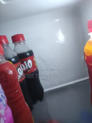 Kelvinator 320 Litter Fridge