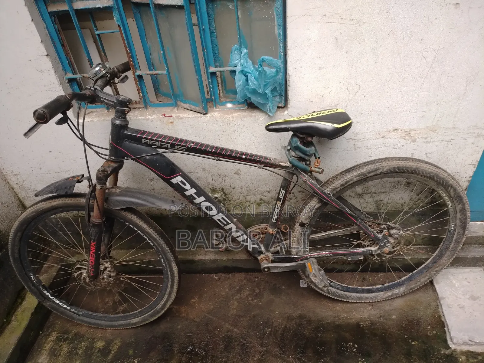 Phonex Cycle