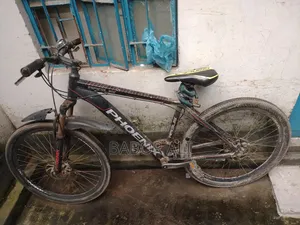 Phonex Cycle