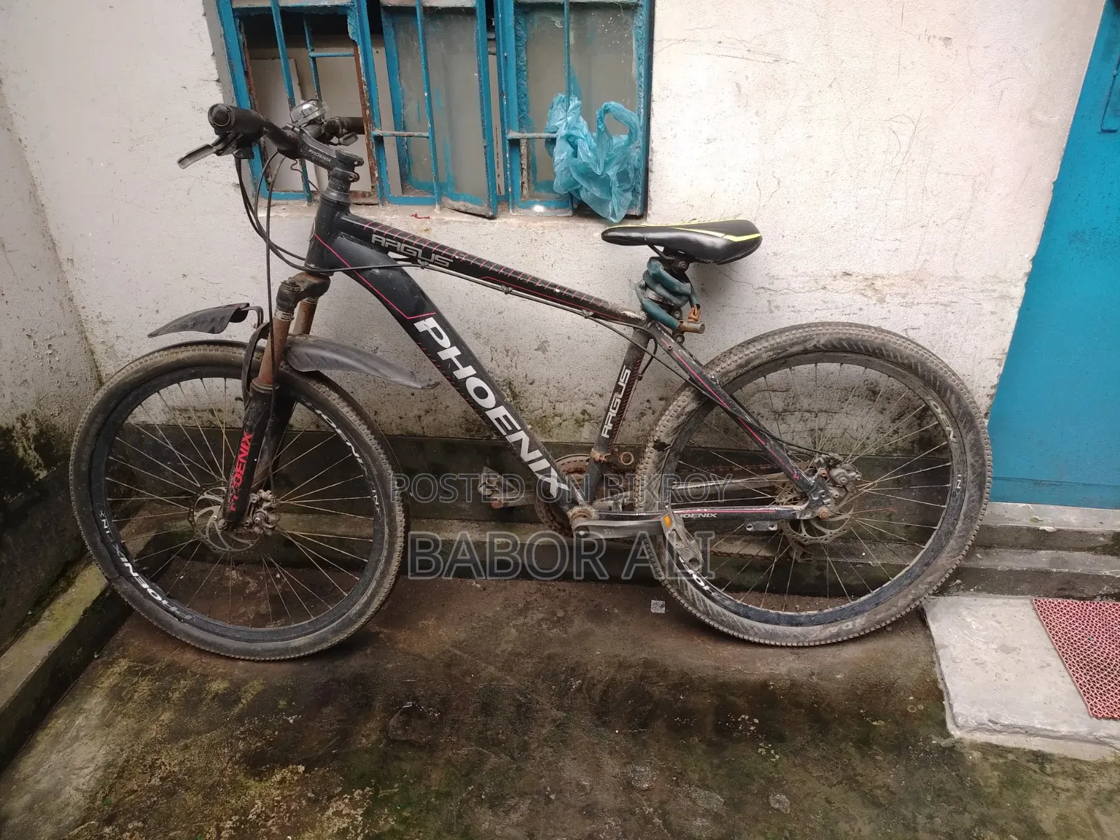 Phonex Cycle
