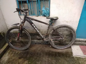 Phonex Cycle