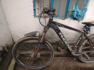 Phonex Cycle