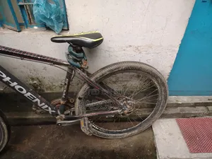 Phonex Cycle