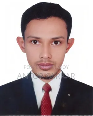 Office Executive