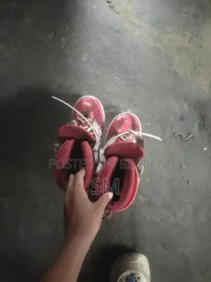 স্কেটিং এর কোন সমস্যা নেই শুধু চাকা দুইটা