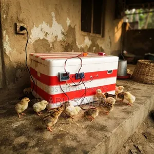 ইনকিউবেটর মেশিন