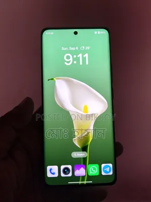 Realme 11 Pro+ 256 GB Gray