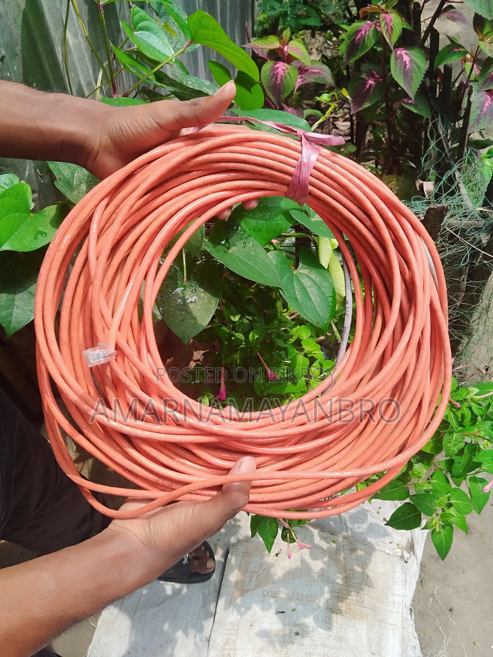 Cat 6 Cable