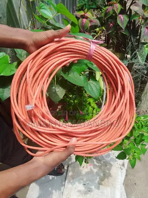 Cat 6 Cable