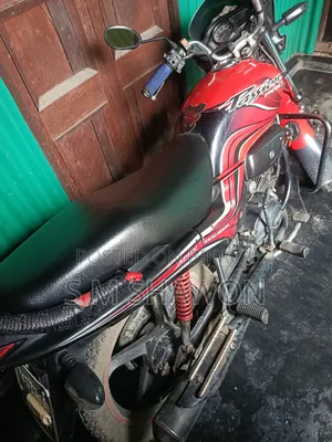 Hero Passion Pro 2015 Red