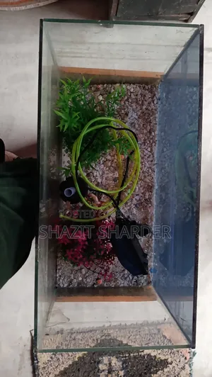 Fish Tank একুরিয়াম