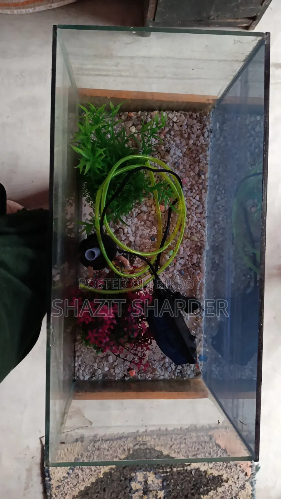 Fish Tank একুরিয়াম