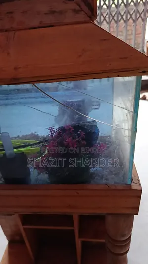 Fish Tank একুরিয়াম