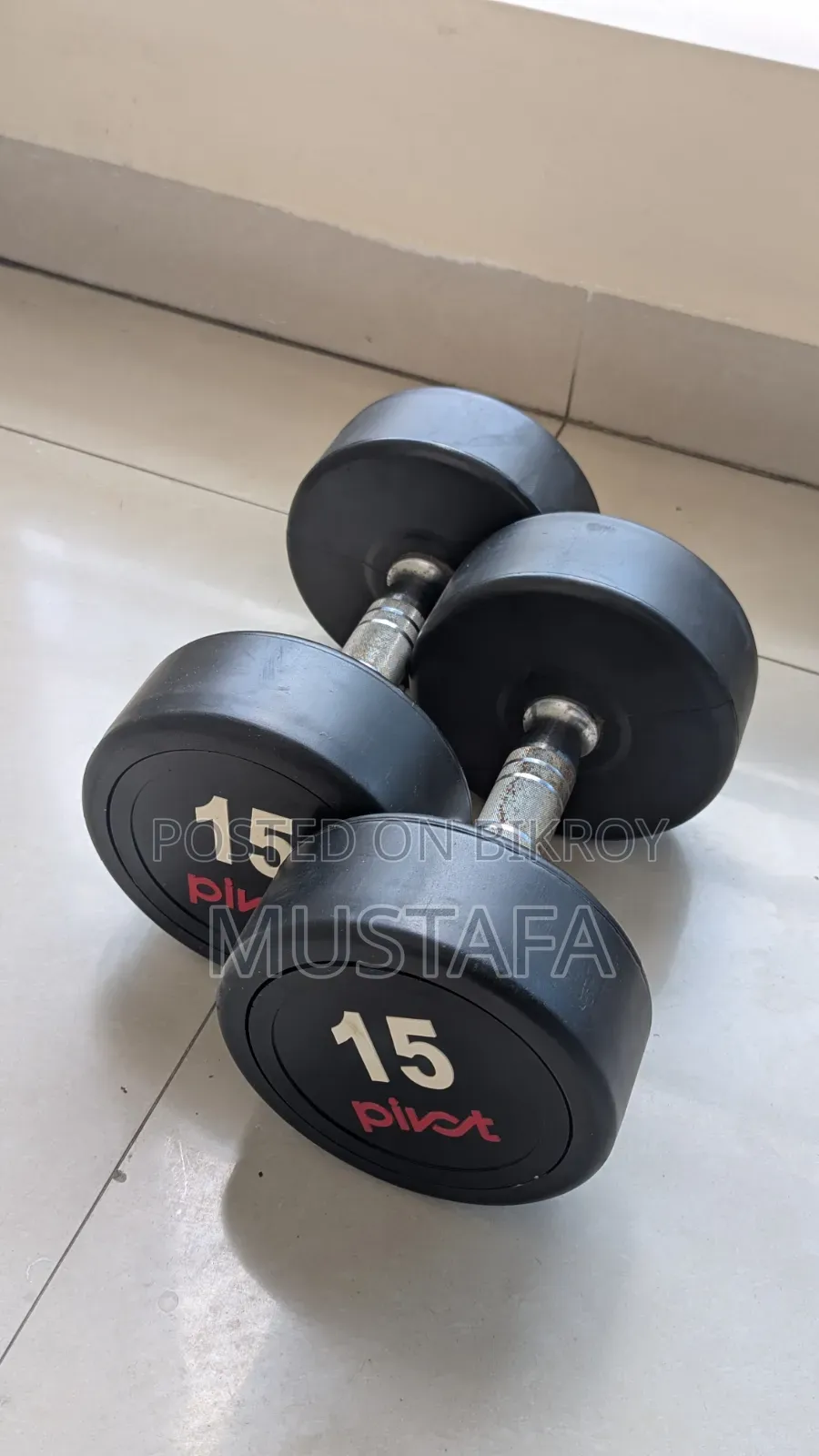 Dumbell 15kg Pair