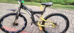 Bicycle Cosmic