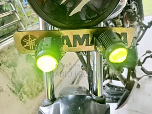 Fog Light With Dual Mode Switch