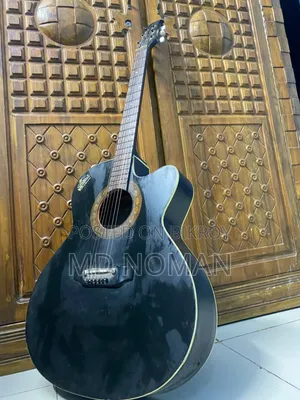 গিটার সিগনেচার কোম্পানির