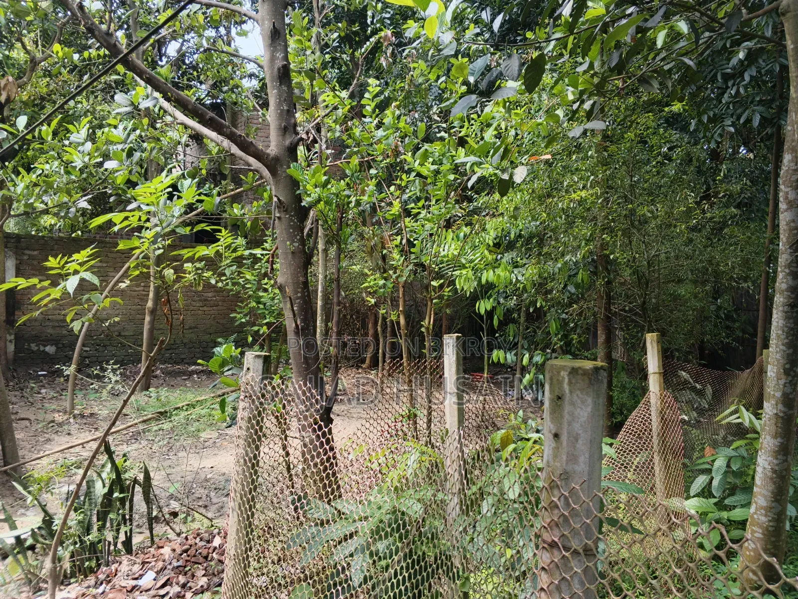 ৩ শতক জমি বিক্রি হবে