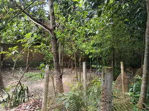 ৩ শতক জমি বিক্রি হবে