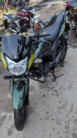 হিরো হাঙ্ক ২০১৬ সবুজ