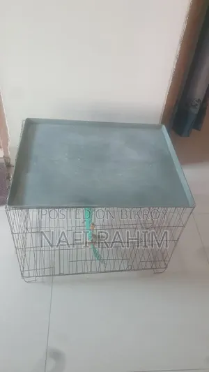 Birds Cage