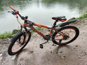 Phoenix Impulse Pro