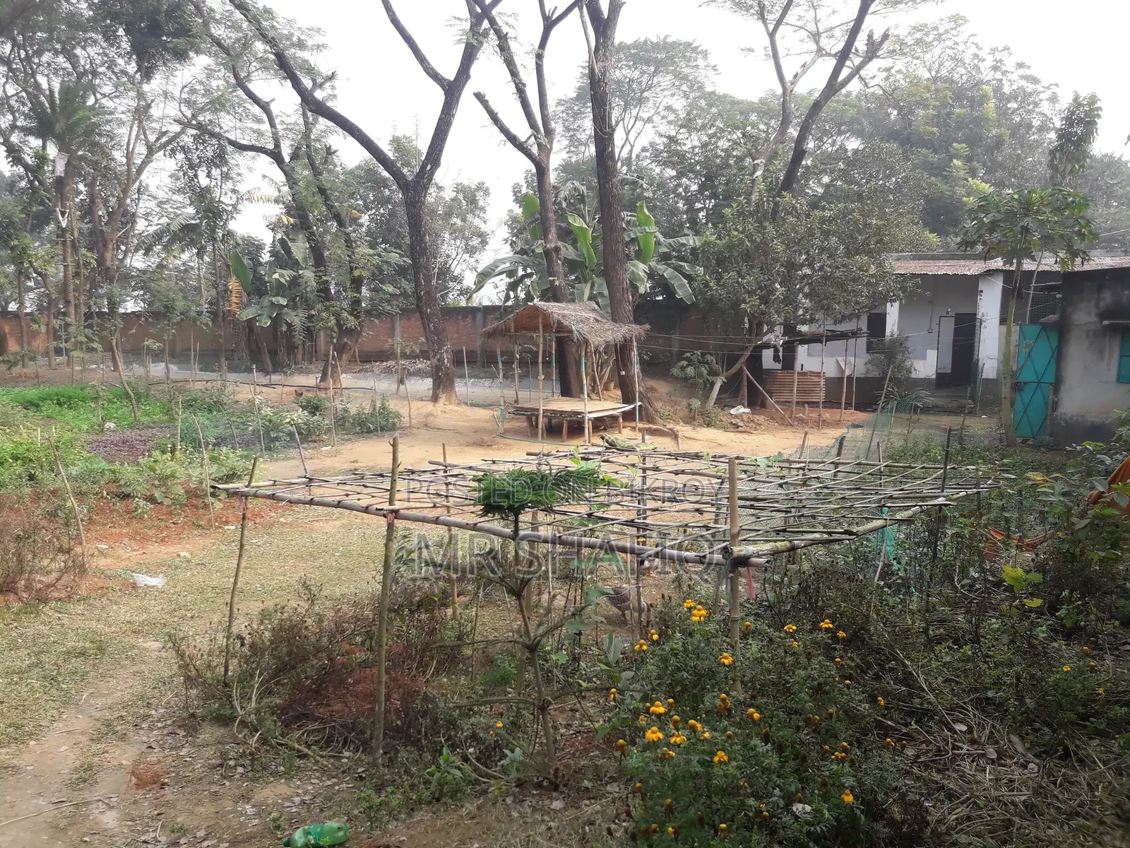 33 D Secured Firm Land for SELL at Dhaka-Berulia.