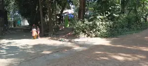 33 D Secured Firm Land for SELL at Dhaka-Berulia.