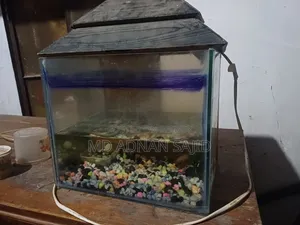Aquarium for Sale।বিক্রির জন্য অ্যাকোয়ারিয়াম