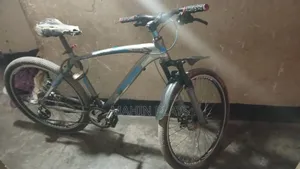Pioneer Cycle
