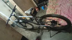 Pioneer Cycle