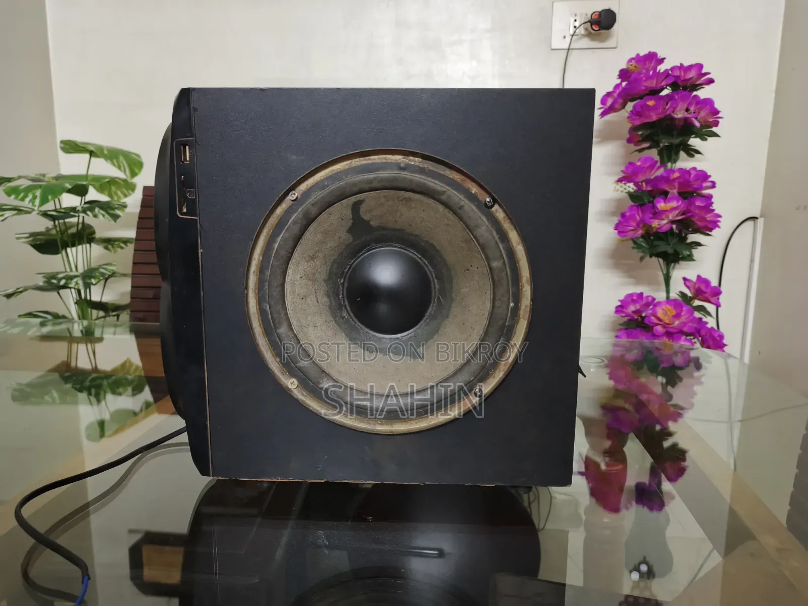 8 Inchi Passive Sub Wofer.