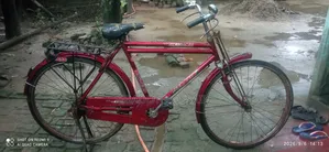 হিরো সাইকেল বিক্রি করার জন্য লোকেশন বগুড়া শহর কালিতলা শিব্বাটি
