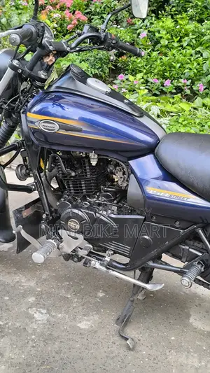 Bajaj Avenger 150 Street 2017 Blue