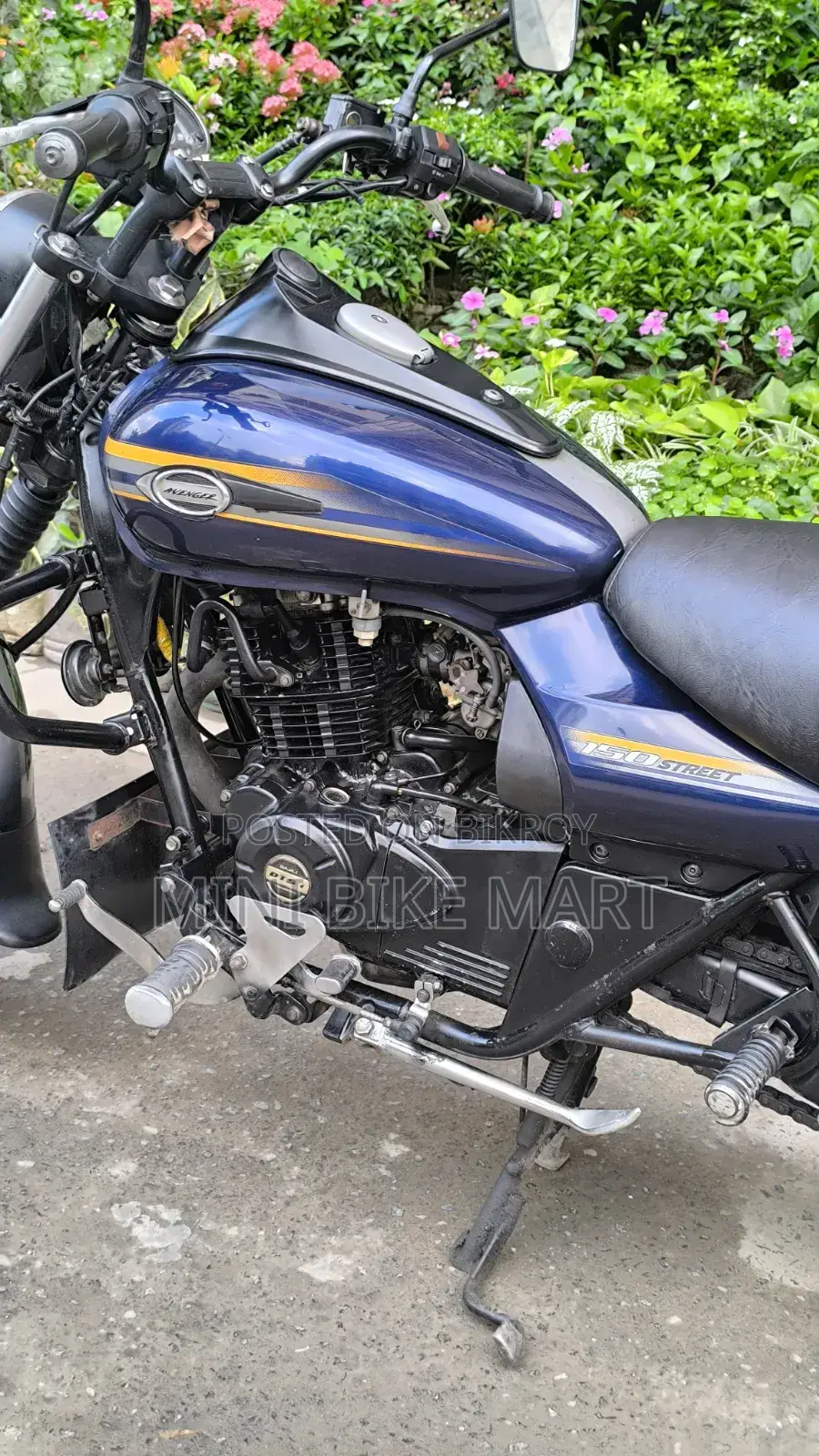 বাজাজ এভেঞ্জার ১৫০ স্ট্রিট ২০১৭ নীল