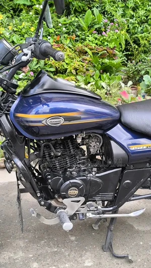 Bajaj Avenger 150 Street 2017 Blue