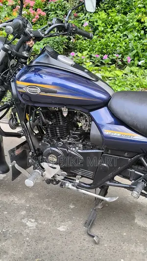 বাজাজ এভেঞ্জার ১৫০ স্ট্রিট ২০১৭ নীল