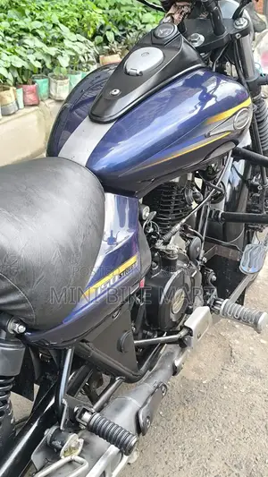 বাজাজ এভেঞ্জার ১৫০ স্ট্রিট ২০১৭ নীল