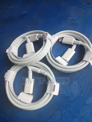 Apple 20 Watt Fastcharger