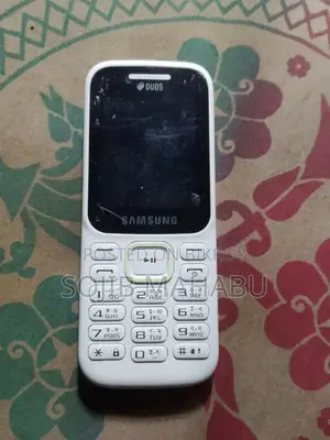 Samsung Guru Music 2 White
