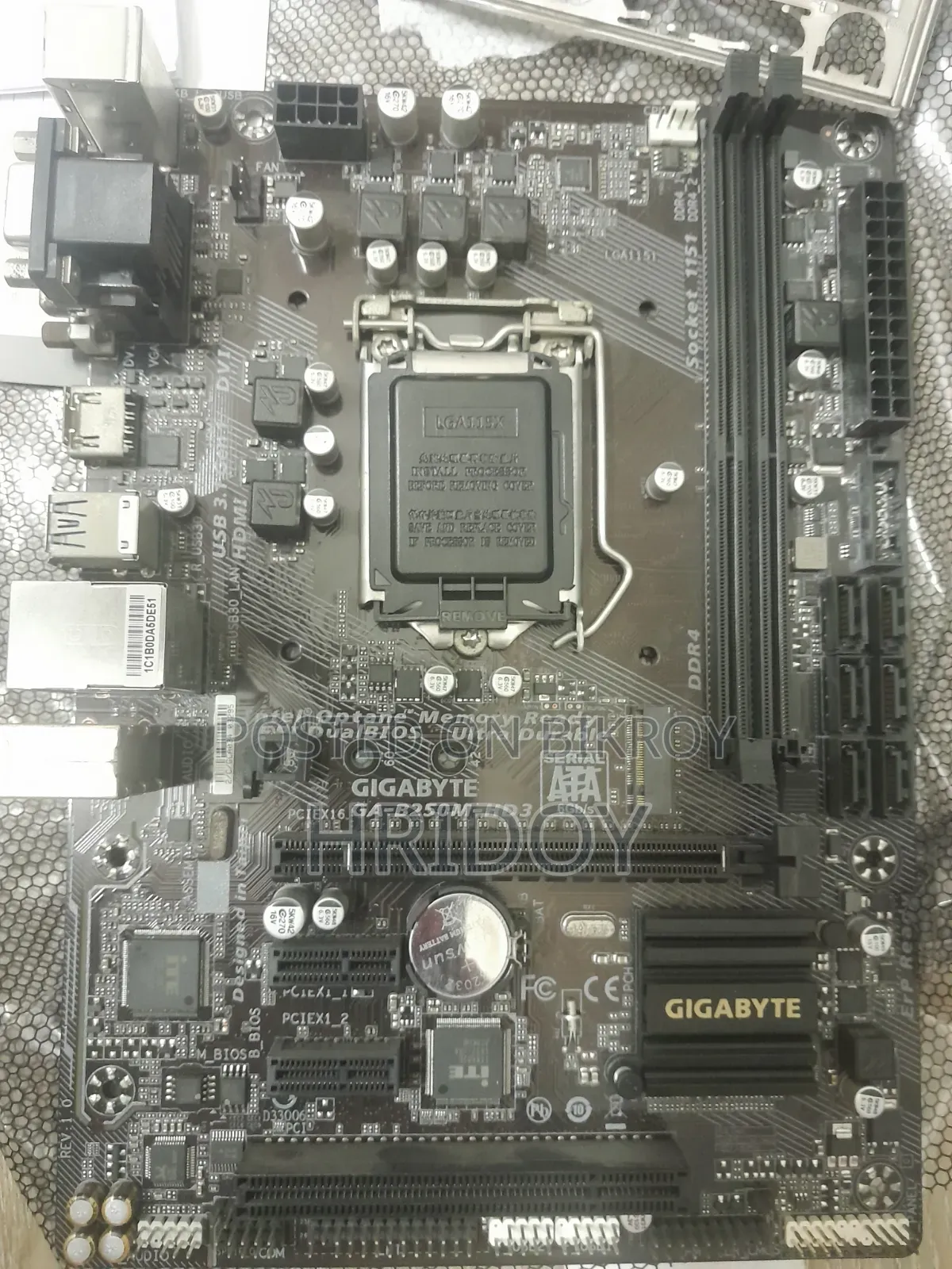Gigabyte Motherboard