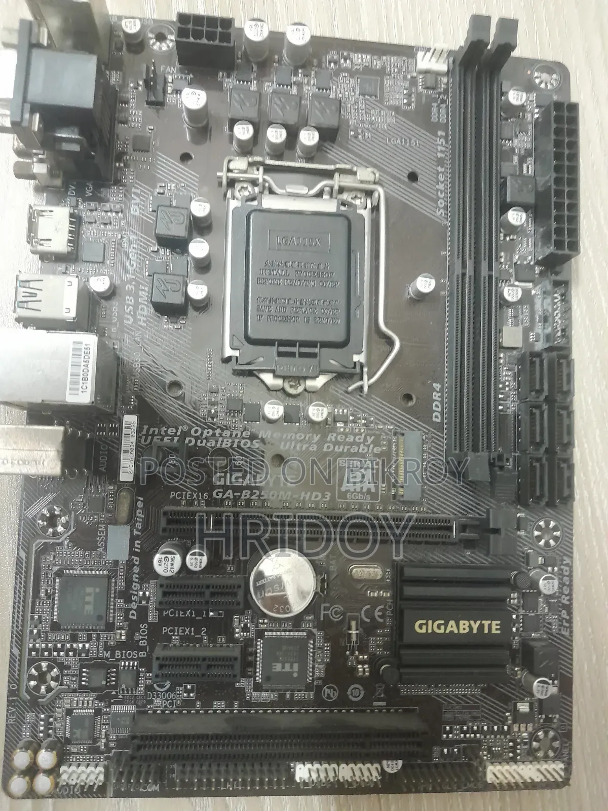Gigabyte Motherboard