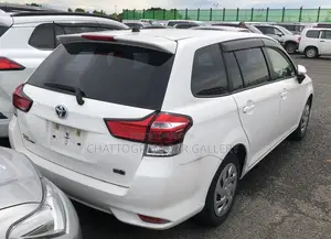 Toyota Corolla Fielder 2021 White