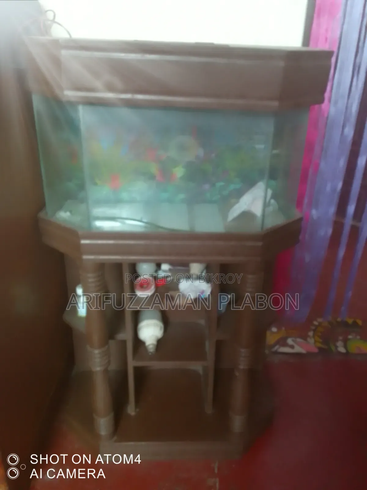 একুরিয়াম সেল ইমারজেন্সি