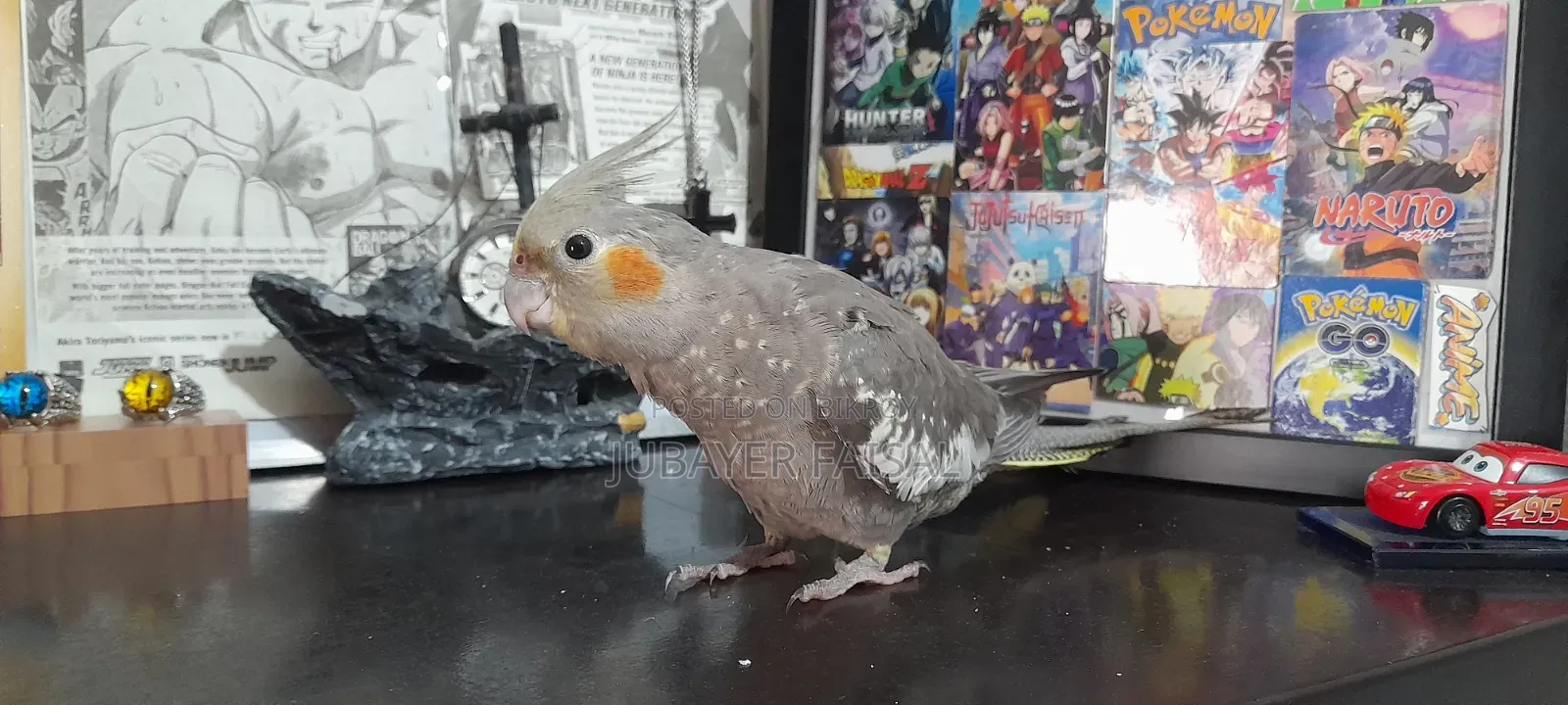 Fully Tamed Cocatail for Sale