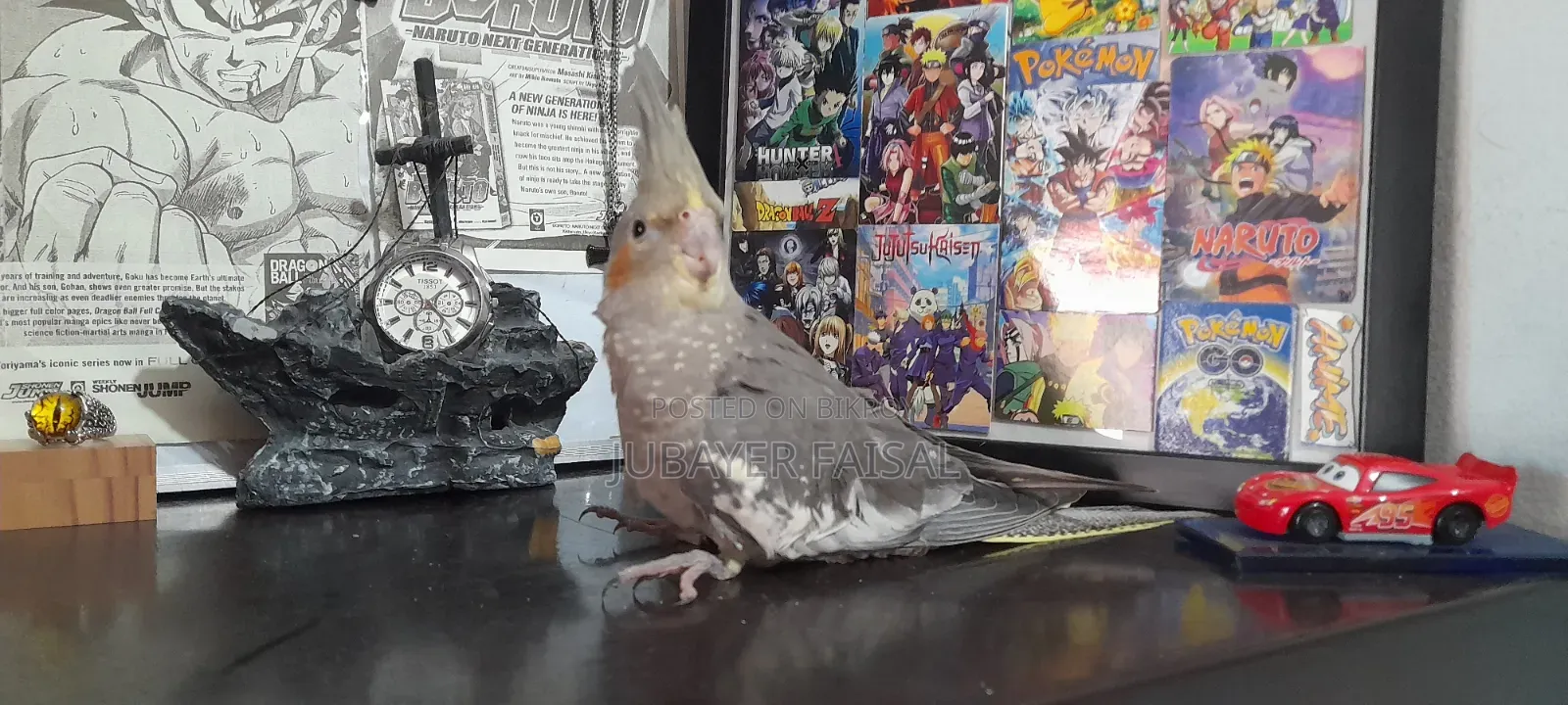 Fully Tamed Cocatail for Sale